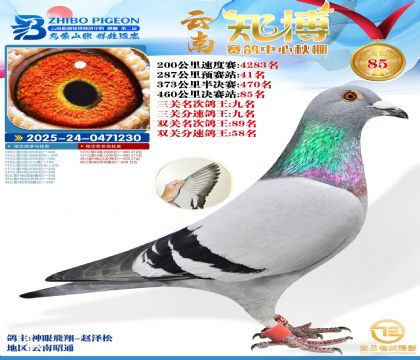 ����֪���Qِ85�������P����9����