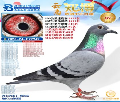 ����֪���Qِ87��