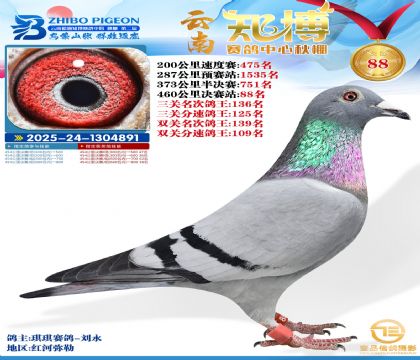 ����֪���Qِ88��