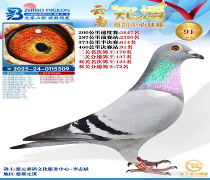 ����֪���Qِ91��