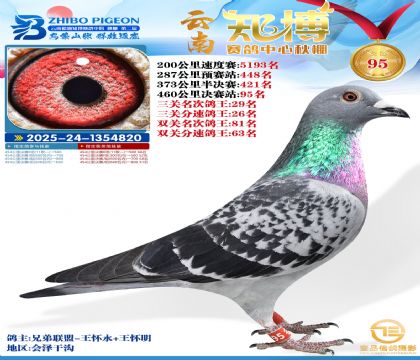 ����֪���Qِ95��