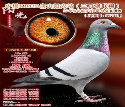 Ї(gu)KBDB|ِɽ(yng)վf(wn)P(gun)