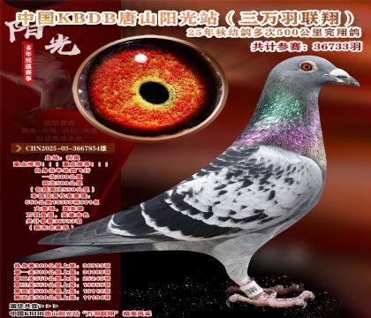 Ї(gu)KBDB|ِ19359901