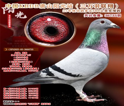 Ї(gu)KBDB|ِɽ(yng)վf(wn)P(gun)