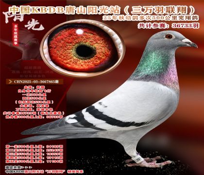 Ї(gu)KBDB|ِɽ(yng)վf(wn)P(gun)