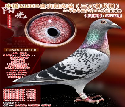 Ї(gu)KBDB|ِ19359817