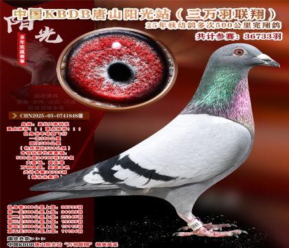 Ї(gu)KBDB|ِ34189623