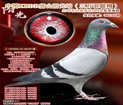 Ї(gu)KBDB|ِ13112415