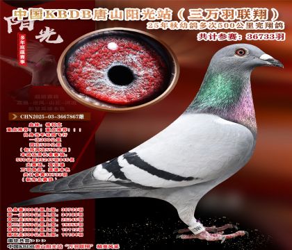 Ї(gu)KBDB|ِ25245845