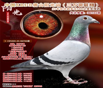 Ї(gu)KBDB|ِɽ(yng)վf(wn)P(gun)