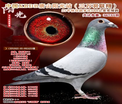 Ї(gu)KBDB|ِɽ(yng)վf(wn)P(gun)