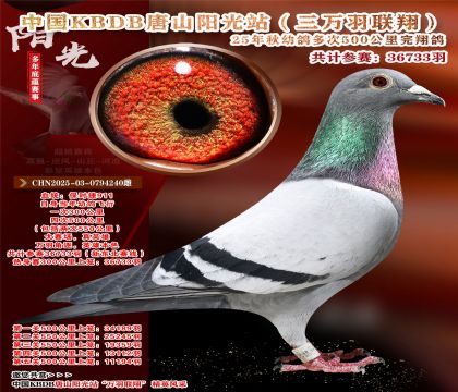 Ї(gu)KBDB|ِɽ(yng)վf(wn)P(gun)