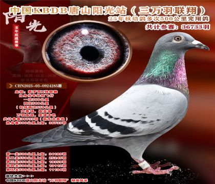 Ї(gu)KBDB|ِɽ(yng)վf(wn)P(gun)