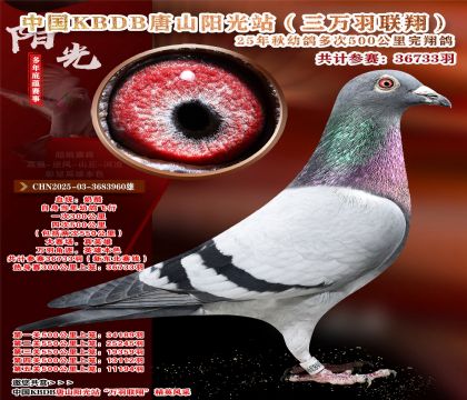 Ї(gu)KBDB|ِɽ(yng)վf(wn)P(gun)