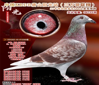 Ї(gu)KBDB|ِɽ(yng)վf(wn)P(gun)