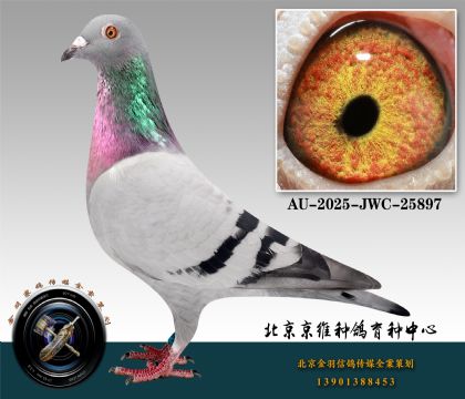 106-AU-2025-JWC-25897