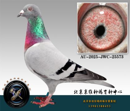 117-AU-2025-JWC-25573