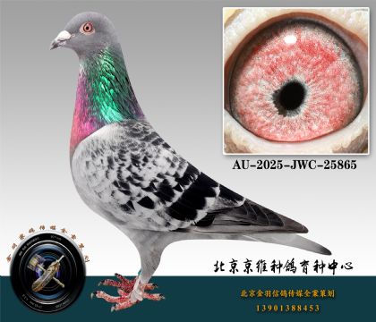 125-AU-2025-JWC-25865