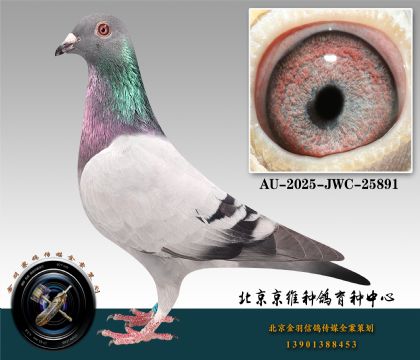 160-AU-2025-JWC-25891