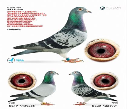 ֲԭᡰѻضѪ-1675028