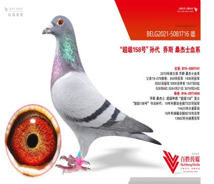 ǲغ˹ԭᡰɣʿ-5081716