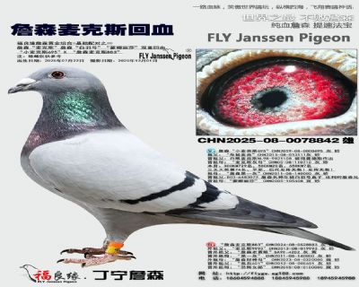 詹森麦克斯回血