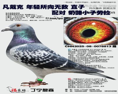 凡戴克 年轻所向无敌 直孙女