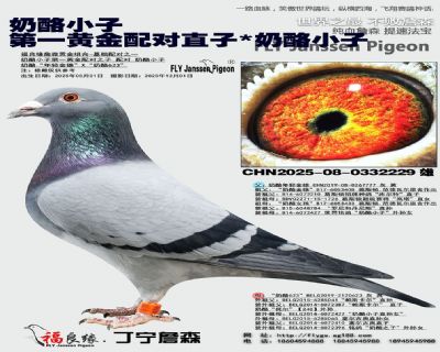 奶酪小子多重回血