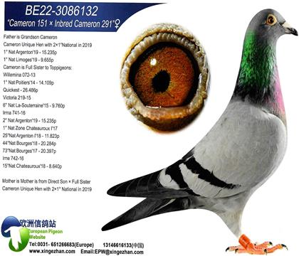 ŷ��ԭʼ��Ƭ