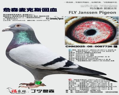 詹森麦克斯回血