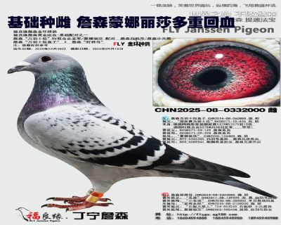 詹森蒙娜丽莎回血