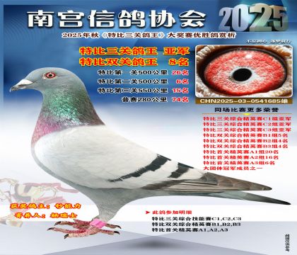 南宮鴿會(huì)三關(guān)鴿王亞軍
