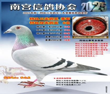 南宮鴿會(huì)三關(guān)鴿王季軍