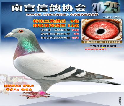 南宮鴿會(huì)三關(guān)鴿王5名