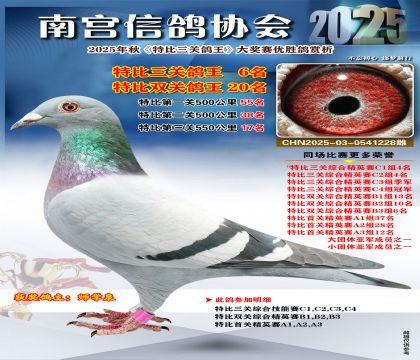 南宮鴿會(huì)三關(guān)鴿王6名