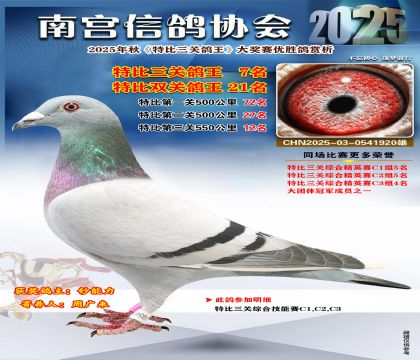 南宮鴿會(huì)三關(guān)鴿王7名
