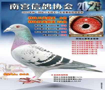 南宮鴿會(huì)三關(guān)鴿王8名