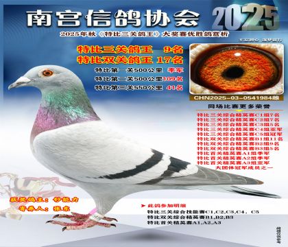 南宮鴿會(huì)三關(guān)鴿王9名
