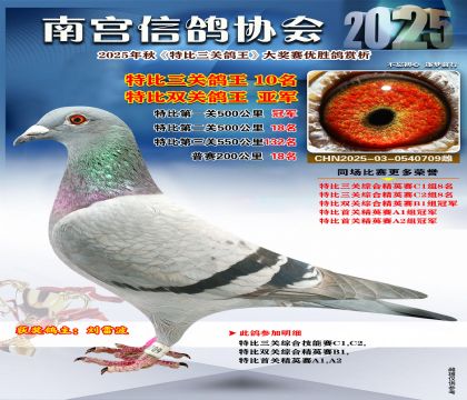 南宮鴿會(huì)三關(guān)鴿王10名