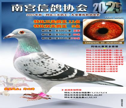 南宮鴿會(huì)三關(guān)鴿王11名