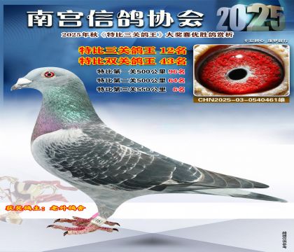南宮鴿會(huì)三關(guān)鴿王12名
