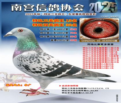 南宮鴿會(huì)三關(guān)鴿王13名