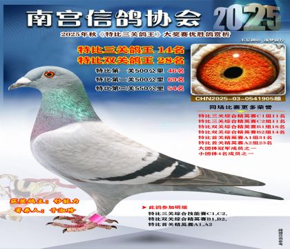 南宮鴿會(huì)三關(guān)鴿王14名