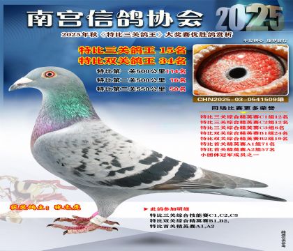南宮鴿會(huì)三關(guān)鴿王15名