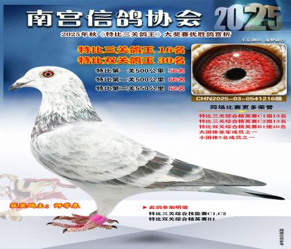 南宮鴿會(huì)三關(guān)鴿王16名