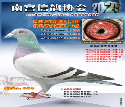 南宮鴿會(huì)三關(guān)鴿王17名