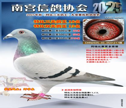 南宮鴿會(huì)三關(guān)鴿王18名
