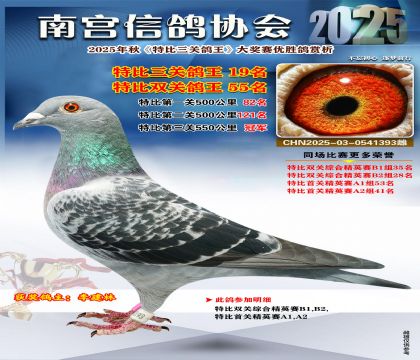 南宮鴿會(huì)三關(guān)鴿王19名