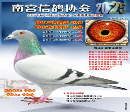 南宮鴿會(huì)三關(guān)鴿王20名