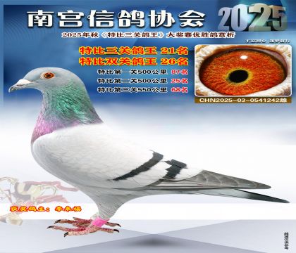 南宮鴿會(huì)三關(guān)鴿王21名